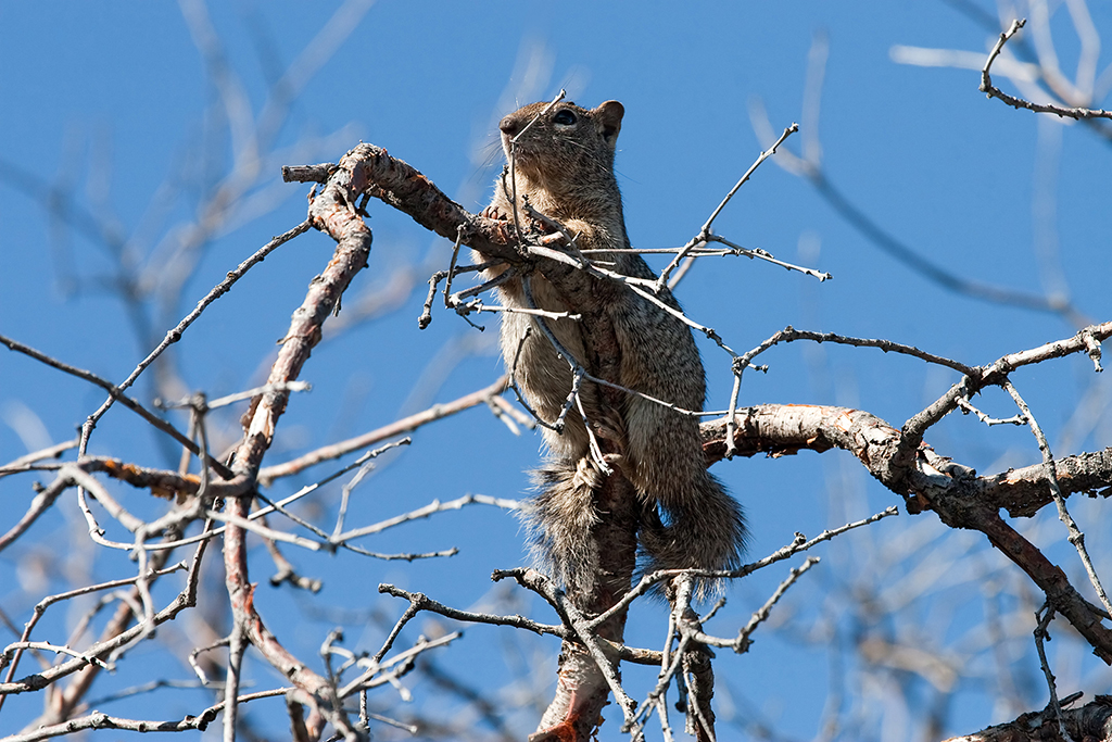 15_Black Canyon of the Gunnison South Rim_01.jpg